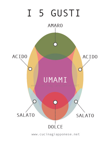 posizione dei recettori umami sulla lingua